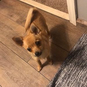 Meet your Posher, Nick